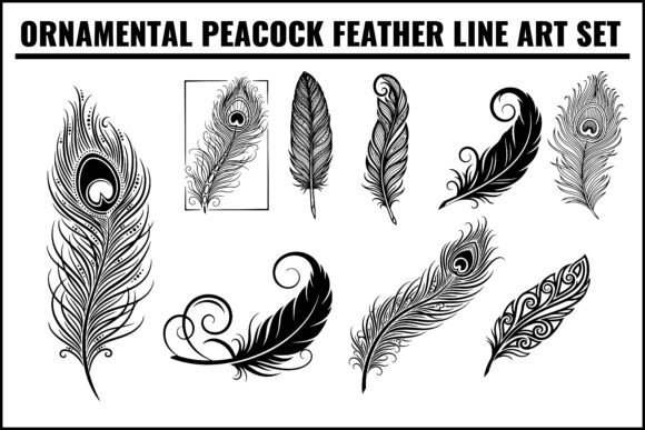 Download Ornamental Peacock Feather Line Art Set - Ornamental Collection